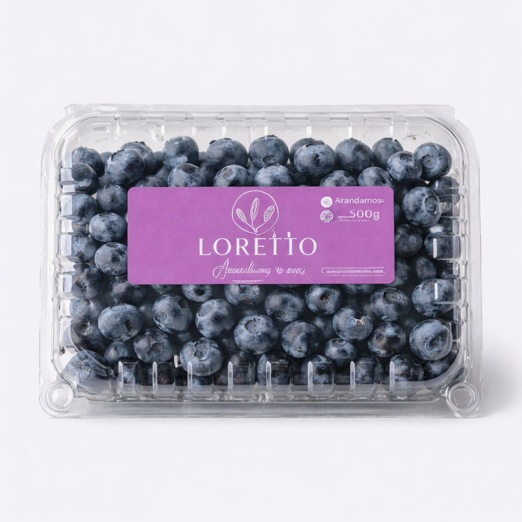 arandanos 500gr