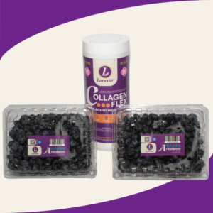 combo 2 arándanos 500 g + 1 collagen flex 1000 g